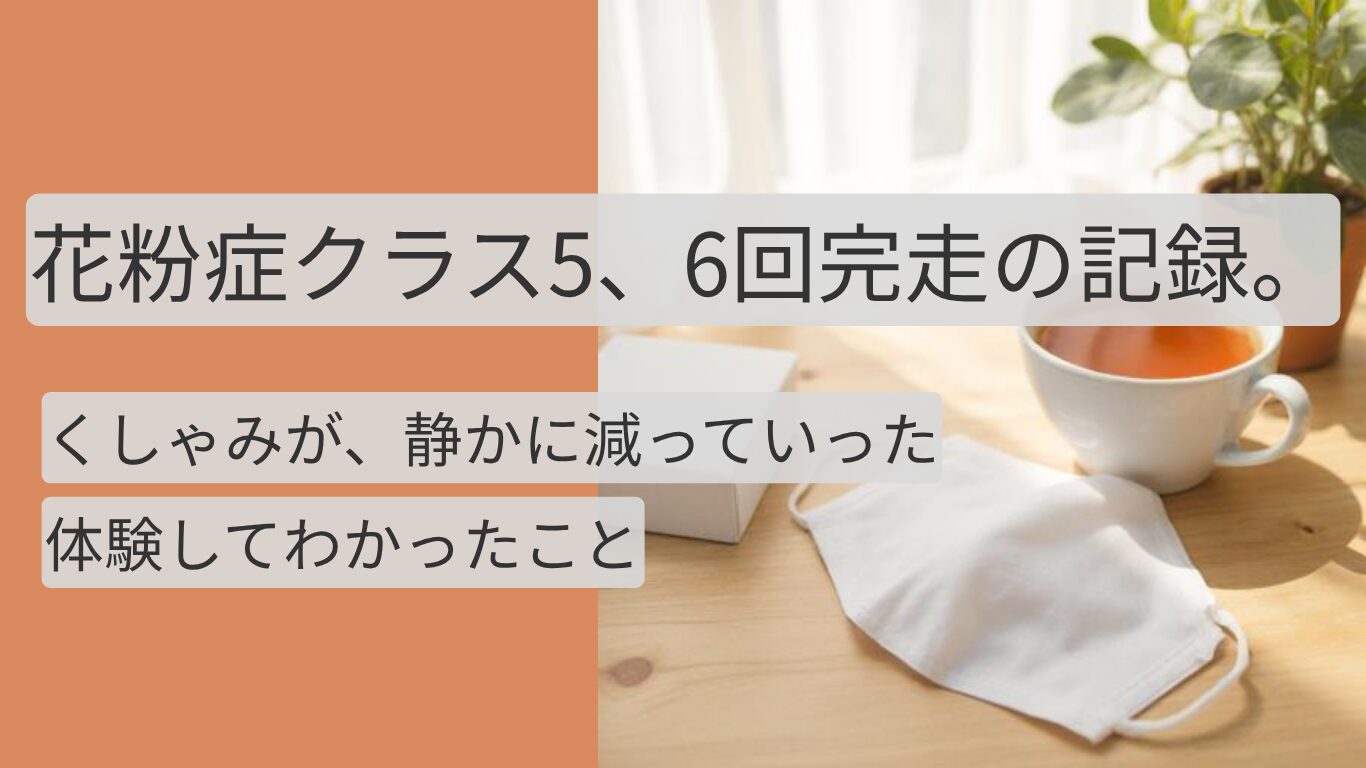 花粉症クラス5の筆者がヒスタグロビン注射を6回完走した体験記事のアイキャッチ